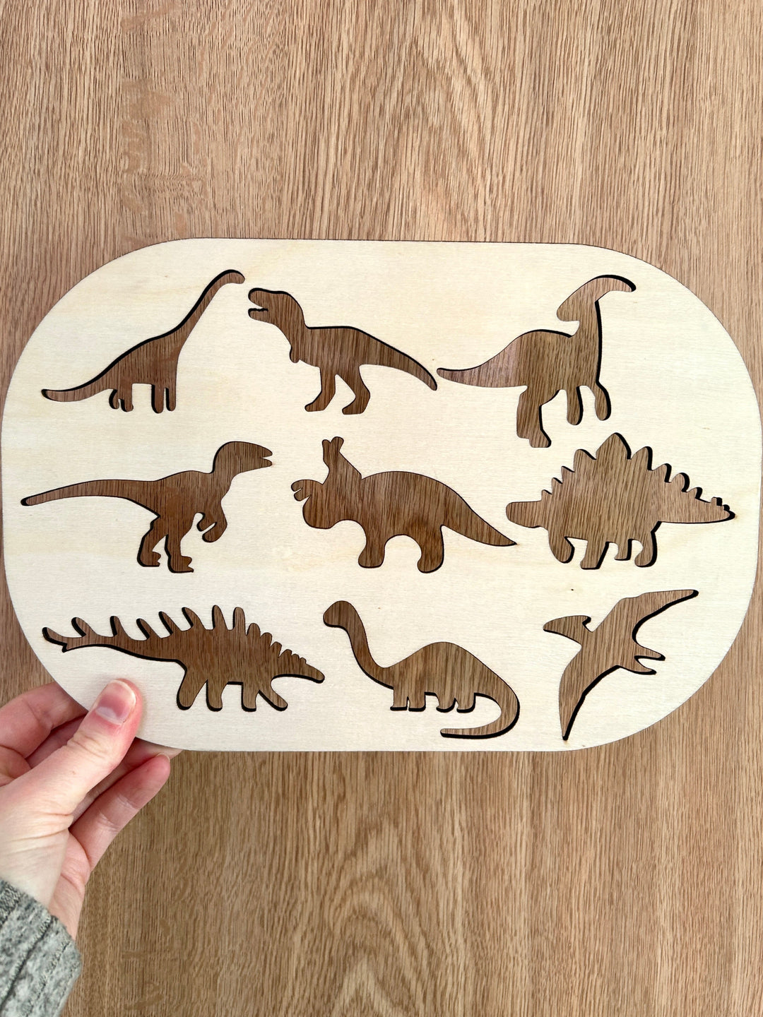 Dinosaurs | Fossils