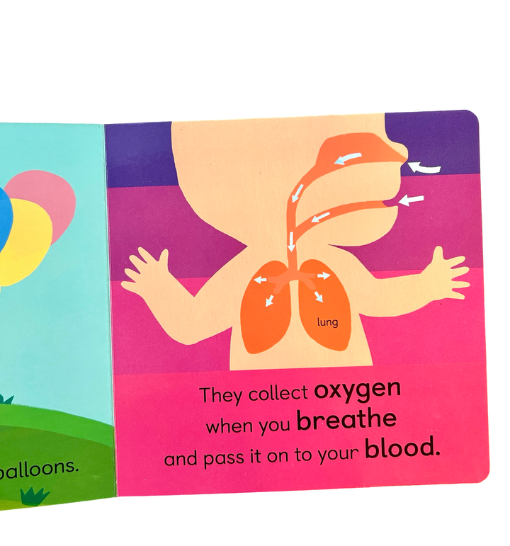 Baby 101: Anatomy for Babies (Board Book)