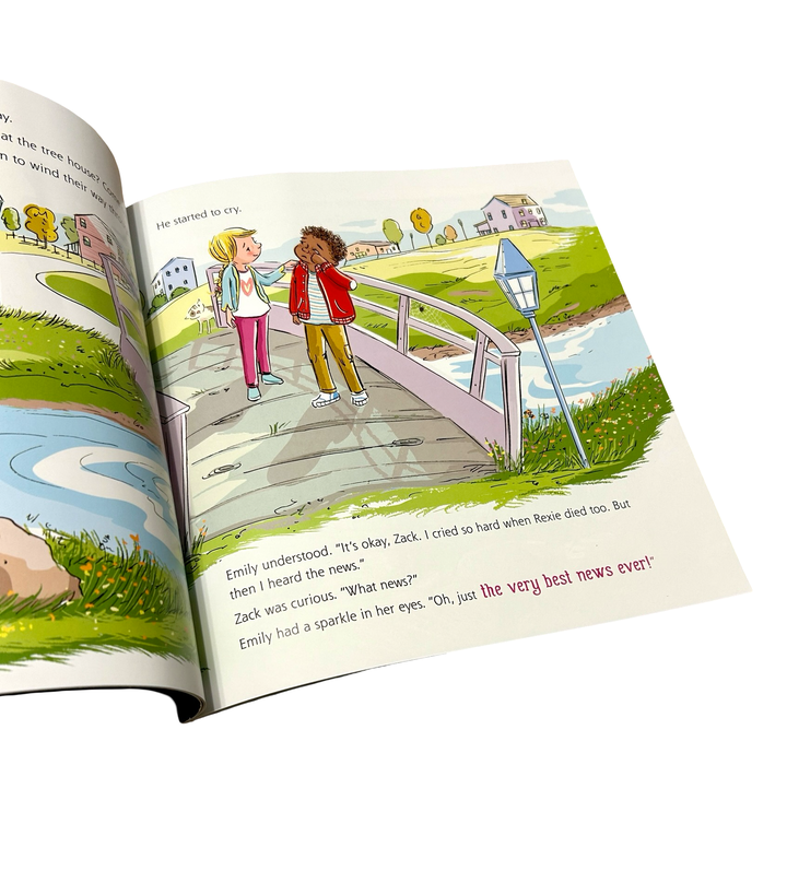 The Invisible Leash: An Invisible String Story About the Loss of a Pet (Paperback Book)