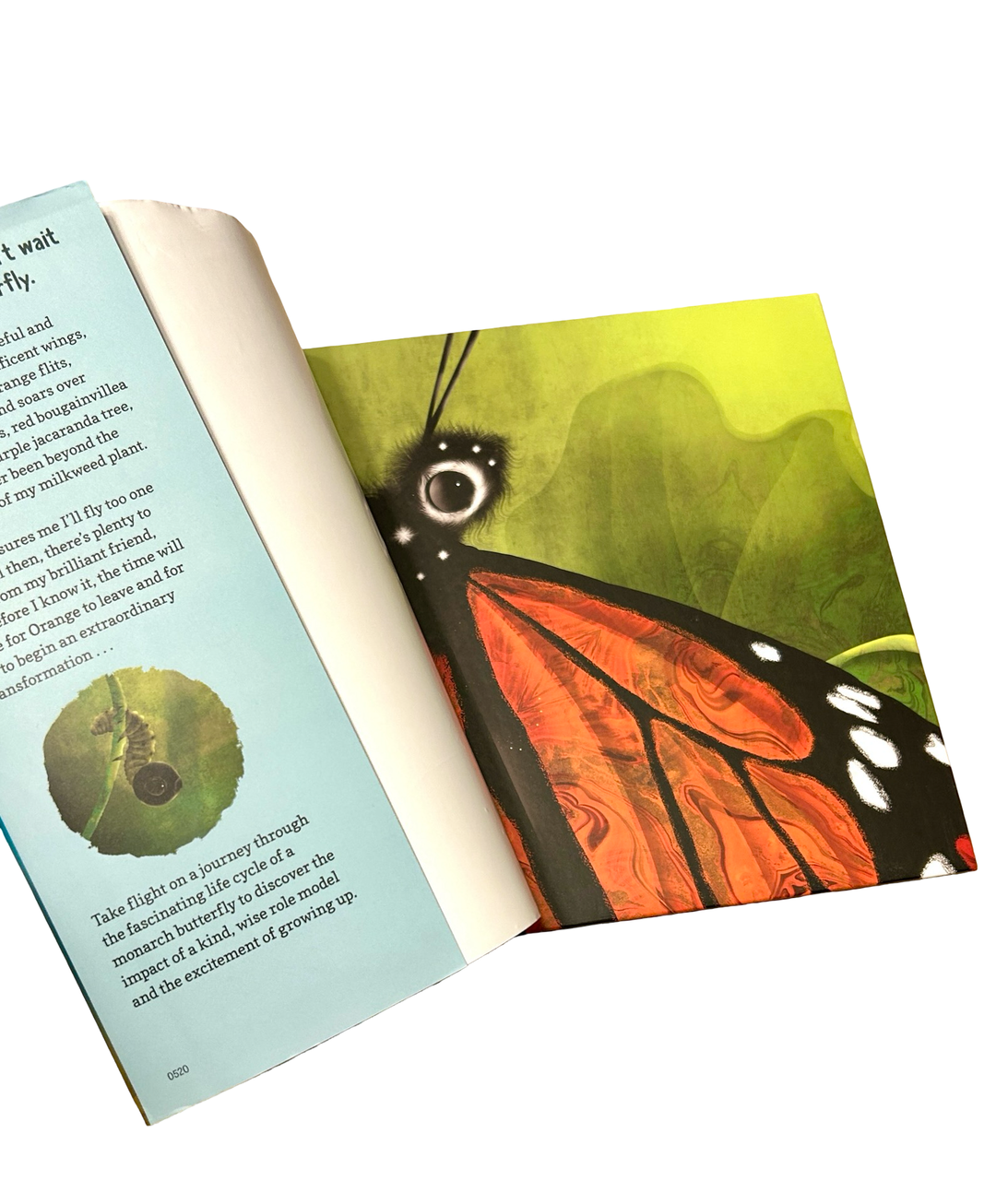 Hello, Little One: A Monarch Butterfly Story (Hardcover / Library Binding)