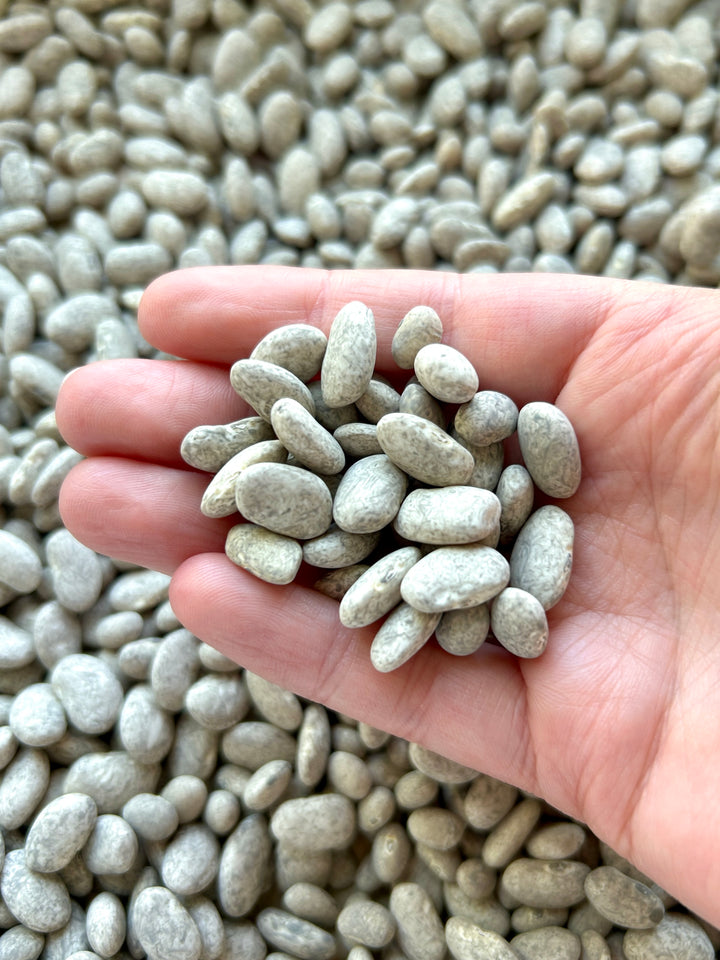 Rocks &amp; Stones Sensory Filler Mix | Realistic Nature Base