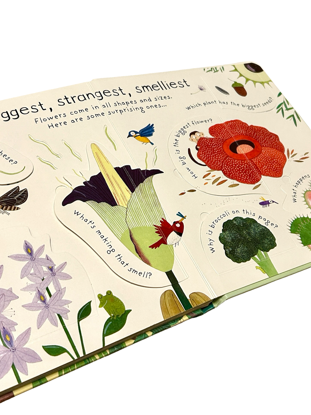 How Do Flowers Grow? (Usborne Lift-the-Flap Book) (Hardcover)