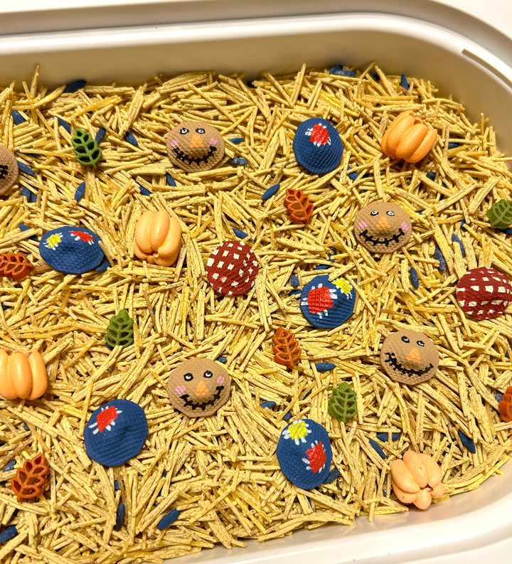 Scarecrow’s Harvest Sensory Filler | Fall Sensory Bin Mix | Handpainted Pasta