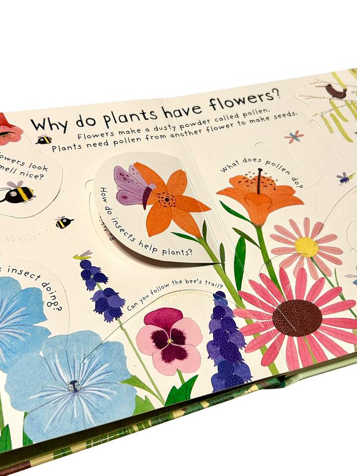 How Do Flowers Grow? (Usborne Lift-the-Flap Book) (Hardcover)