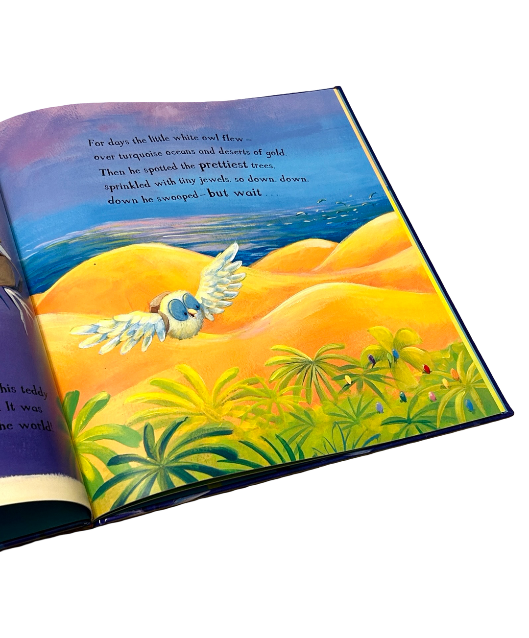 The Little White Owl (Hardcover Book)