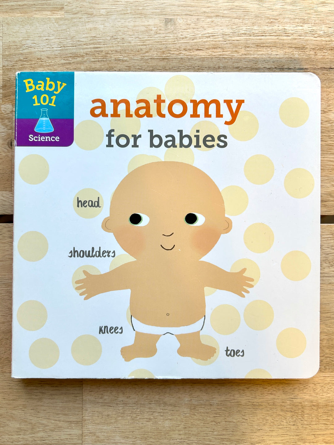 Baby 101: Anatomy for Babies (Board Book)