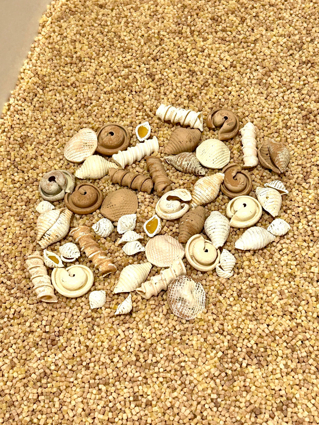 Handpainted Pasta Seashells | Beach Sensory Bin Loose Parts