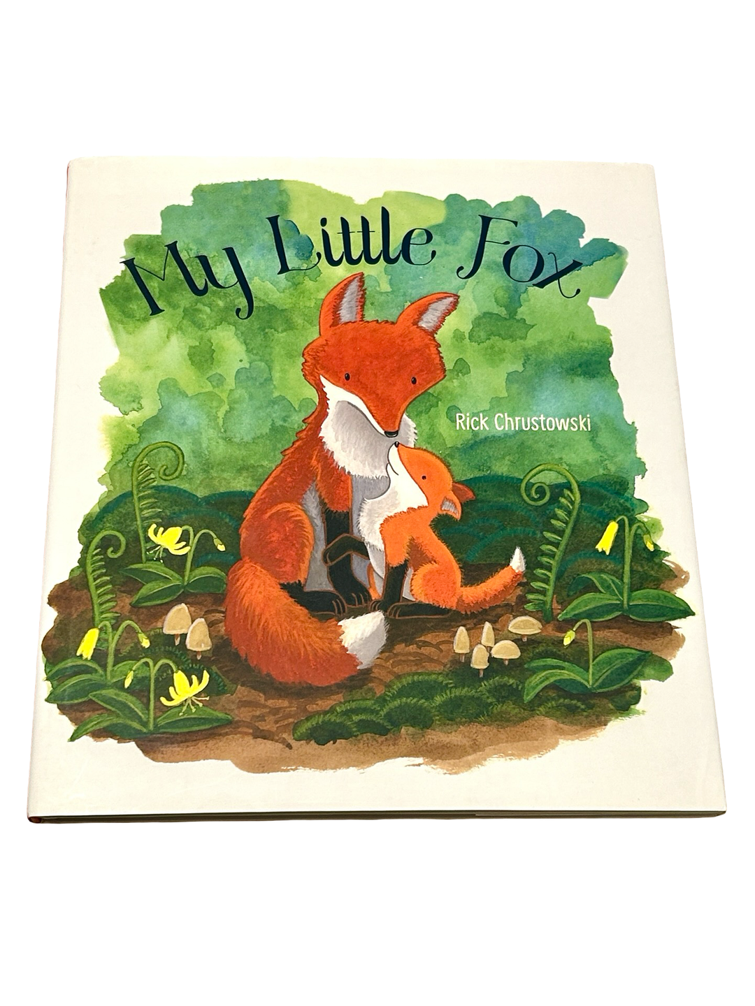 My Little Fox (Hardcover / Library Binding)