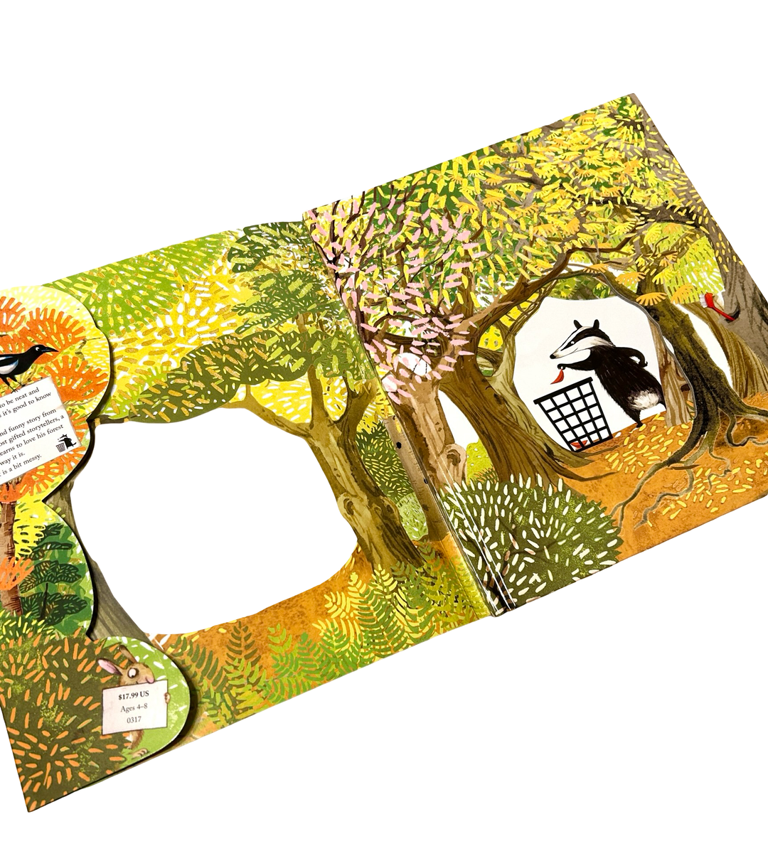 Tidy: A Pete the Badger Story by Emily Gravett (Hardcover / Library Binding)