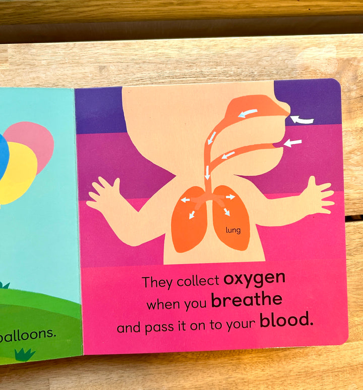 Baby 101: Anatomy for Babies (Board Book)