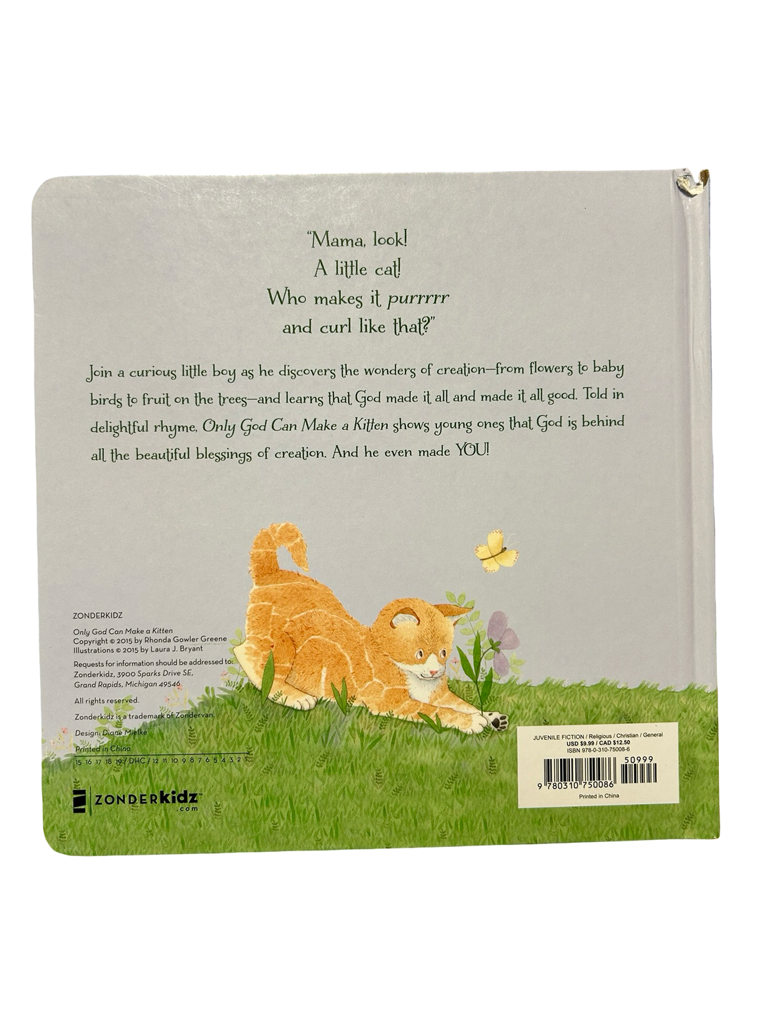Only God Can Make a Kitten by Rhonda Gowler Greene (Board Book)