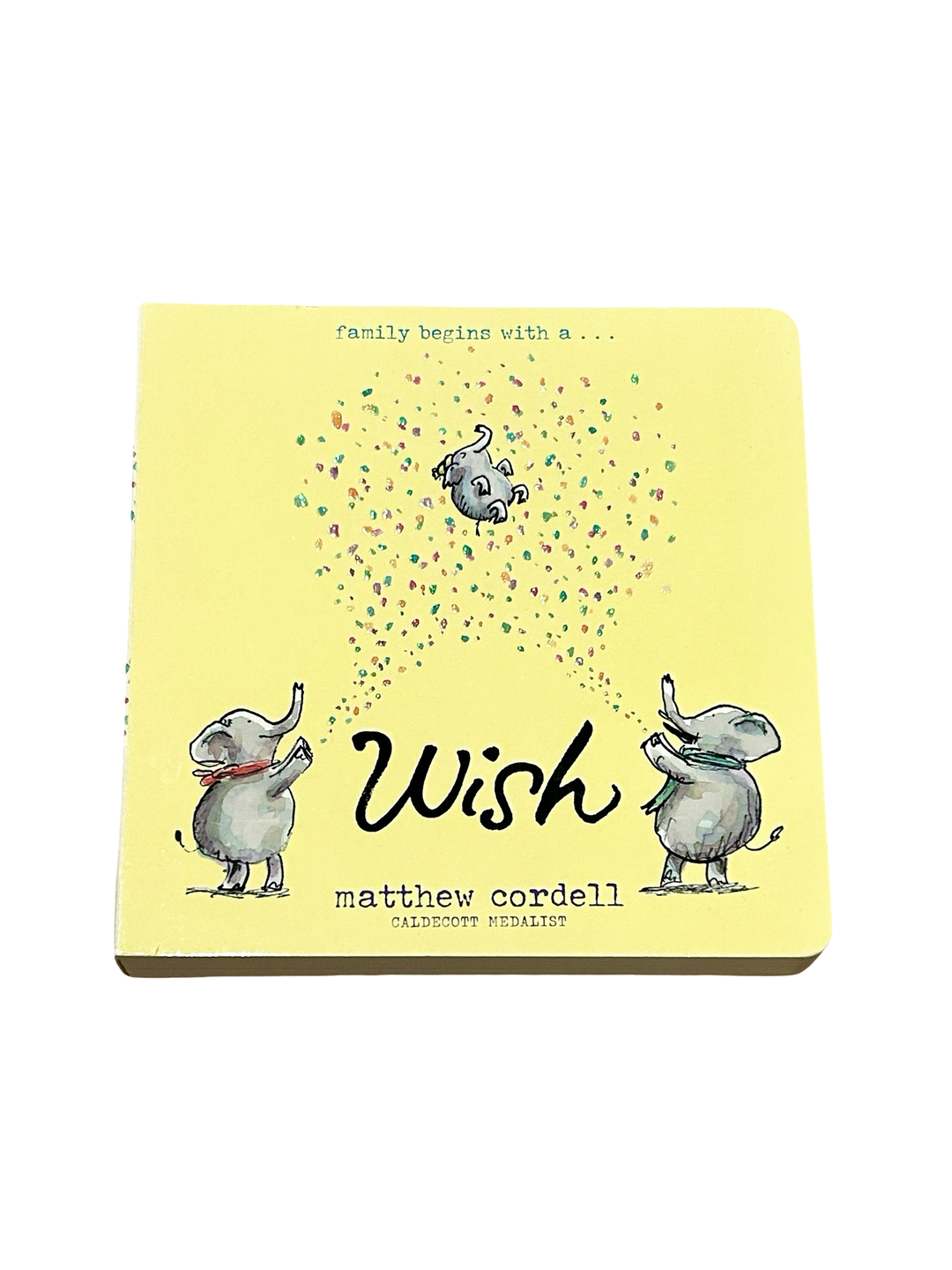 Wish (a family begins with a…) (Board Book)