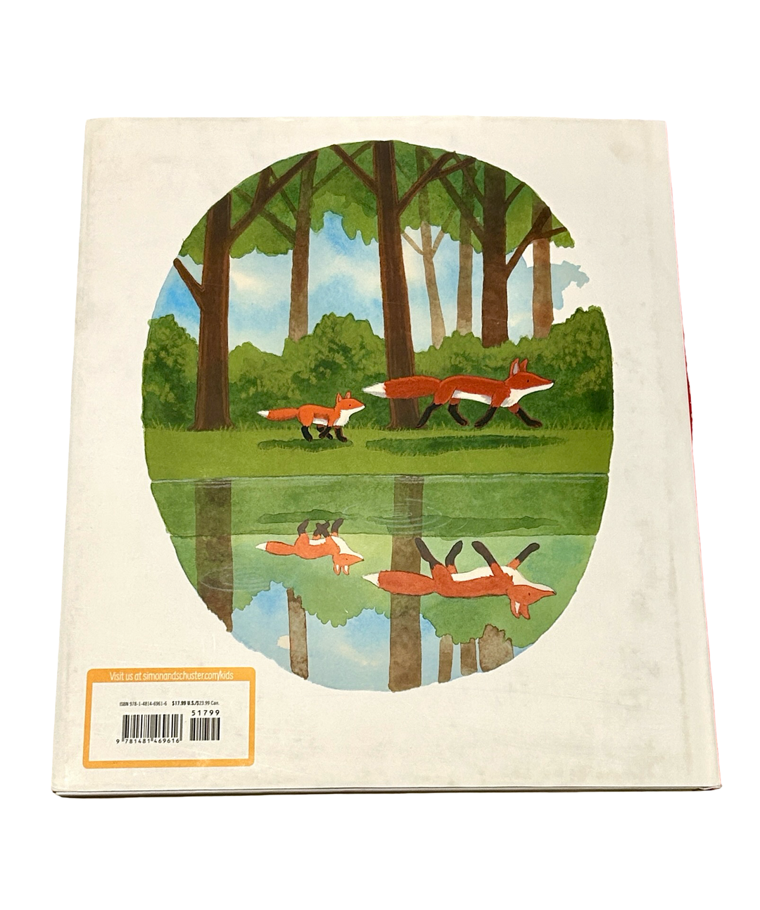 My Little Fox (Hardcover / Library Binding)