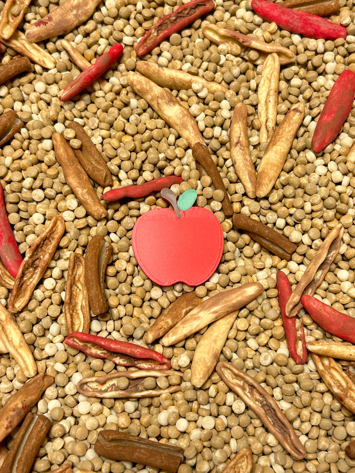 Cozy Apple Pie Sensory Filler Mix | Autumn-Themed Sensory Bin Mix