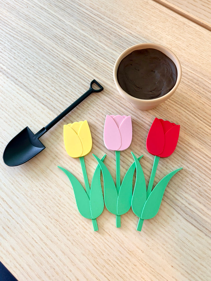 Large Flower Planting Set | 4” Flowers | Gardening Sensory Dirt