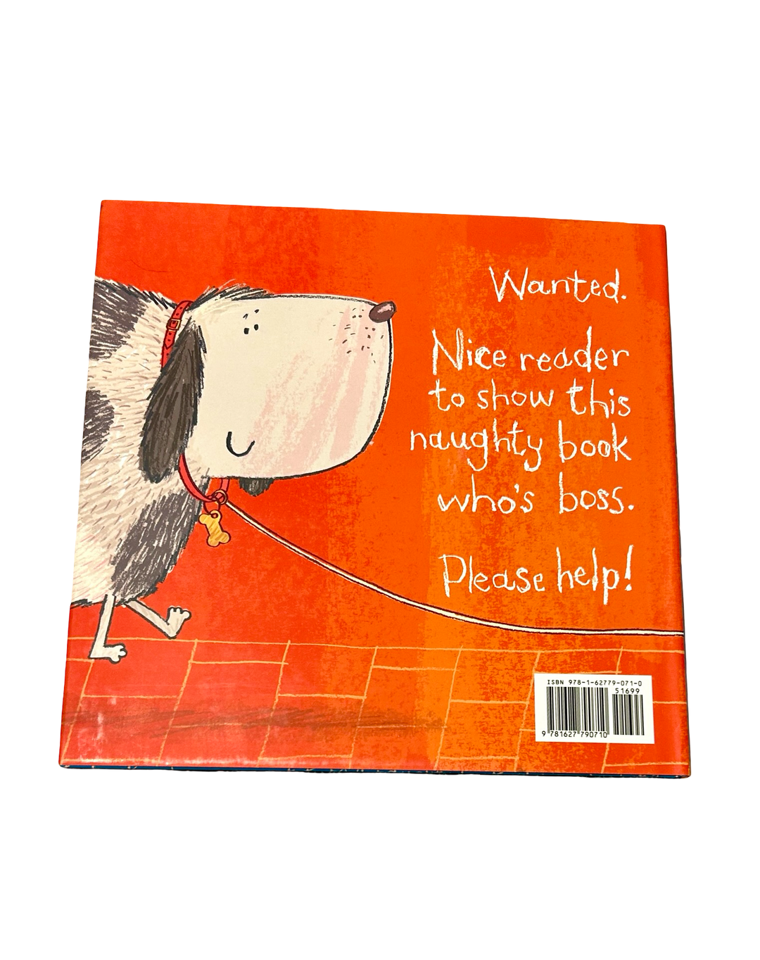 This Book Just Ate My Dog! (Hardcover / Library Binding)