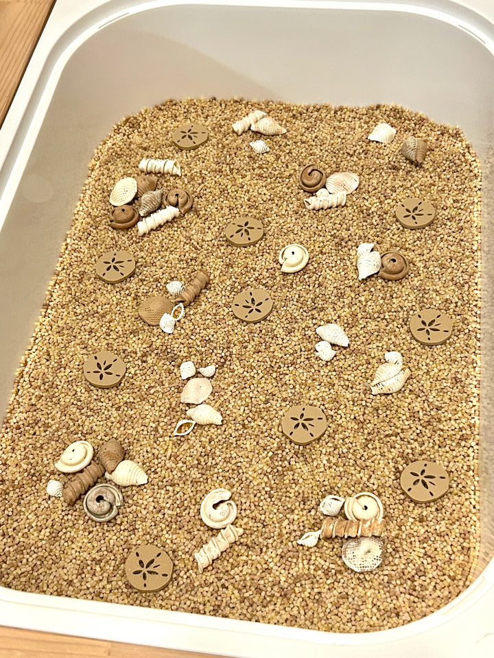 Handpainted Pasta Seashells | Beach Sensory Bin Loose Parts
