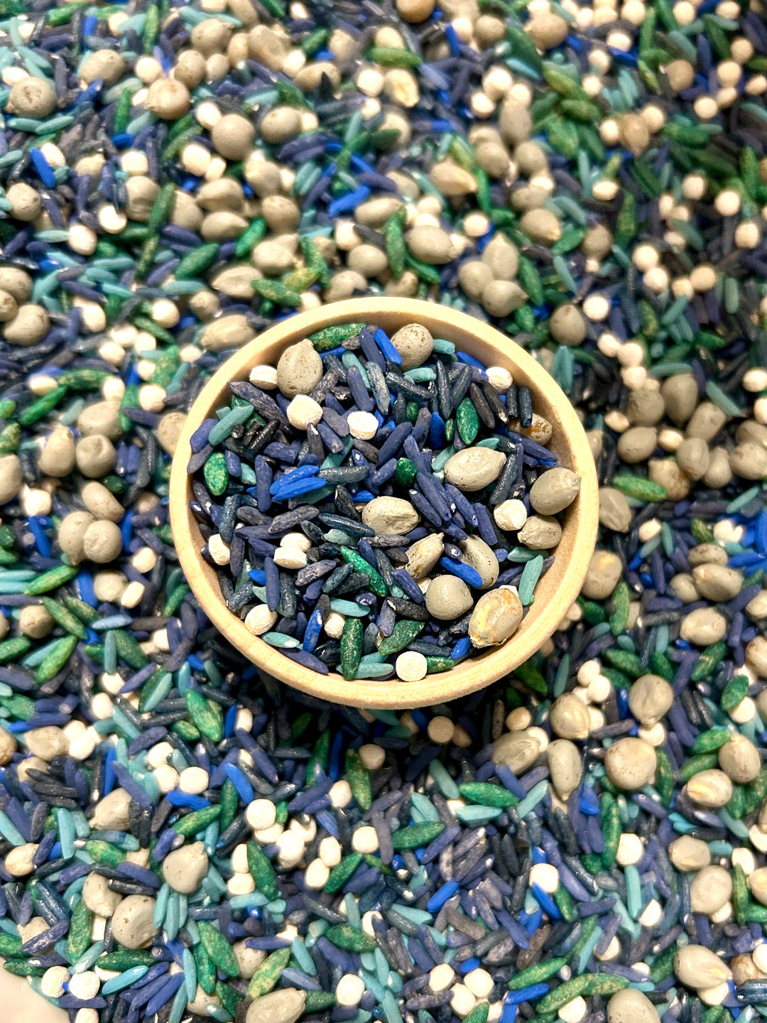 Into the Deep: Shark Sensory Filler Mix | Ocean Sensory Bin | Handpainted Pasta