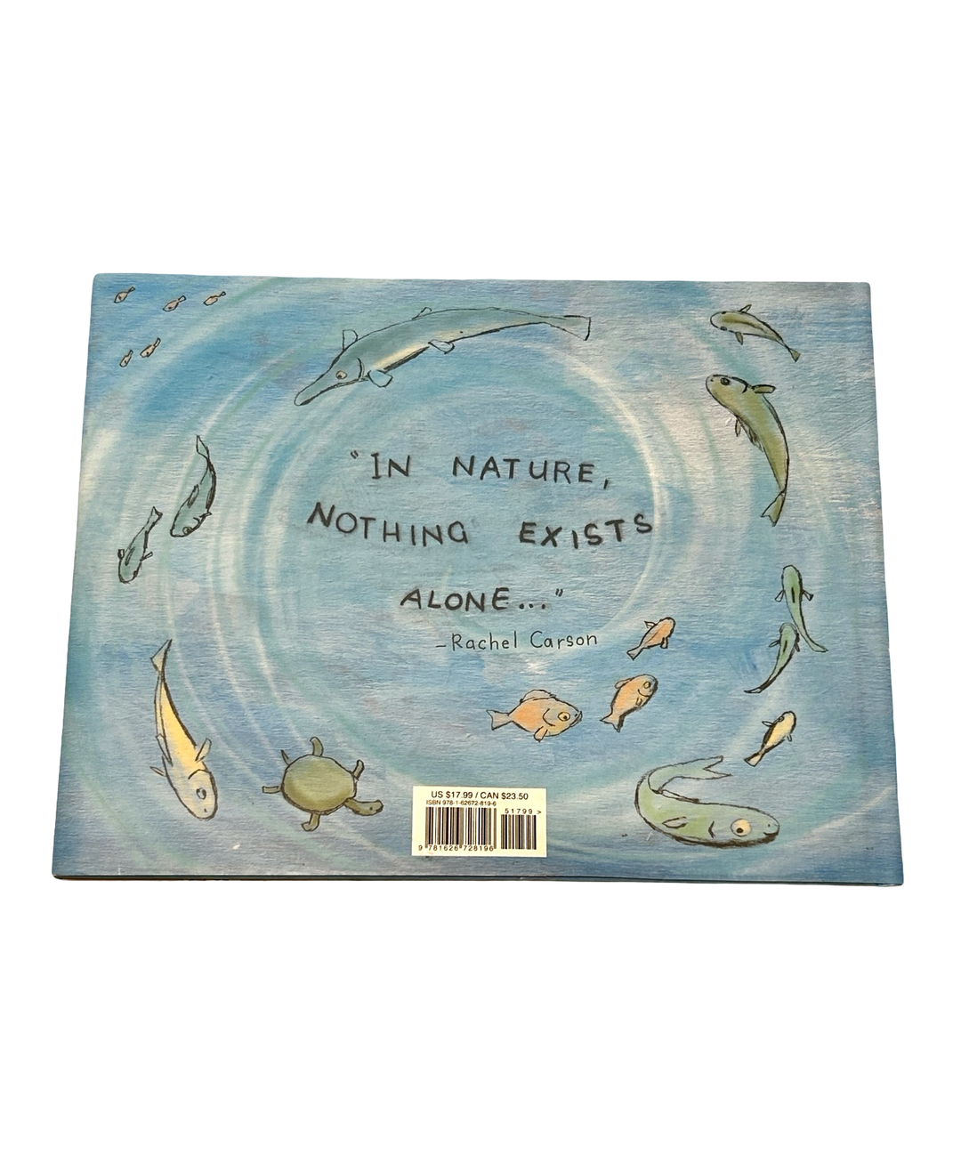 Spring After Spring: How Rachel Carson Inspired The Environmental Movement (Hardcover / Library Binding)