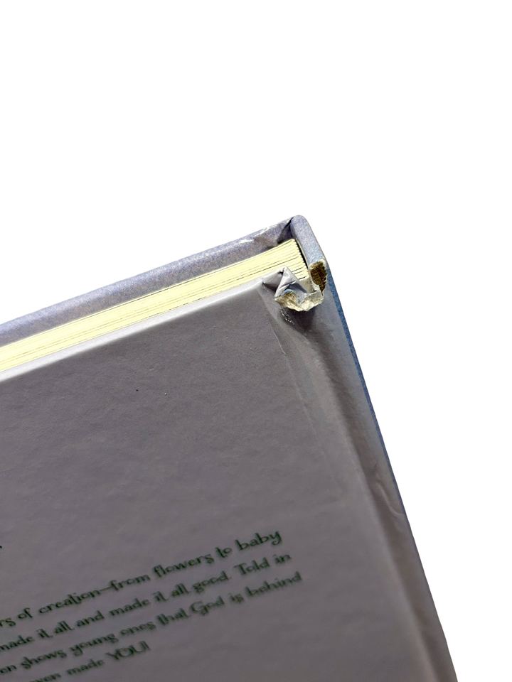 Only God Can Make a Kitten by Rhonda Gowler Greene (Board Book)