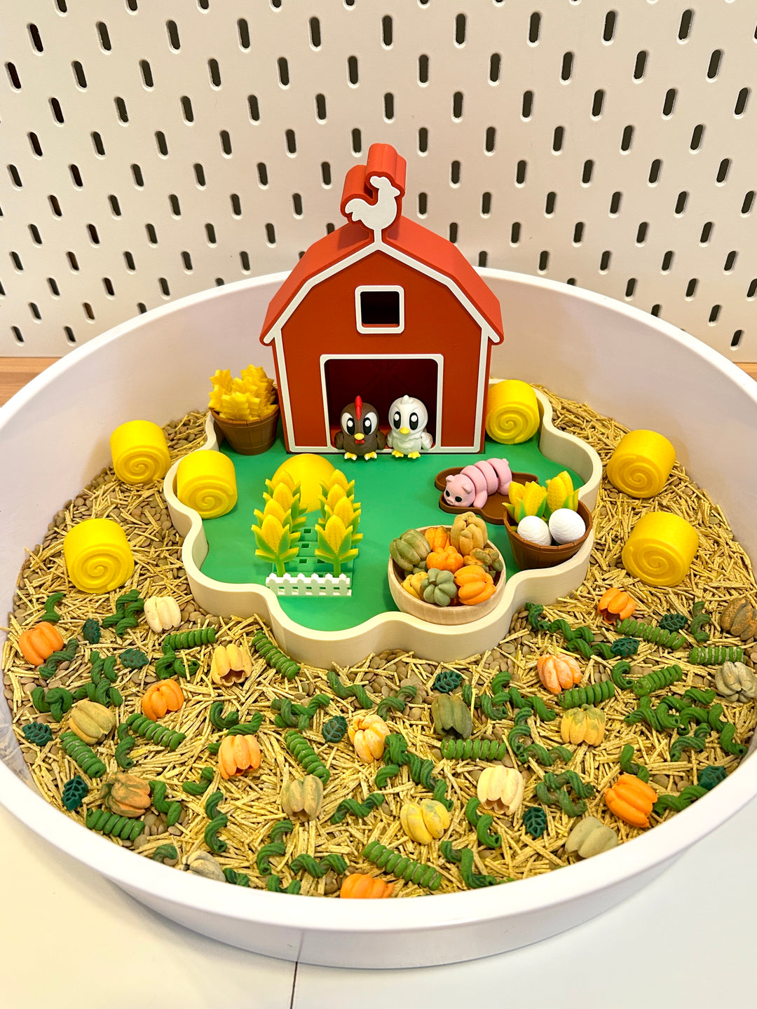 Pumpkin Patch Harvest Sensory Filler | Fall Sensory Bin Mix | Handpainted Pasta