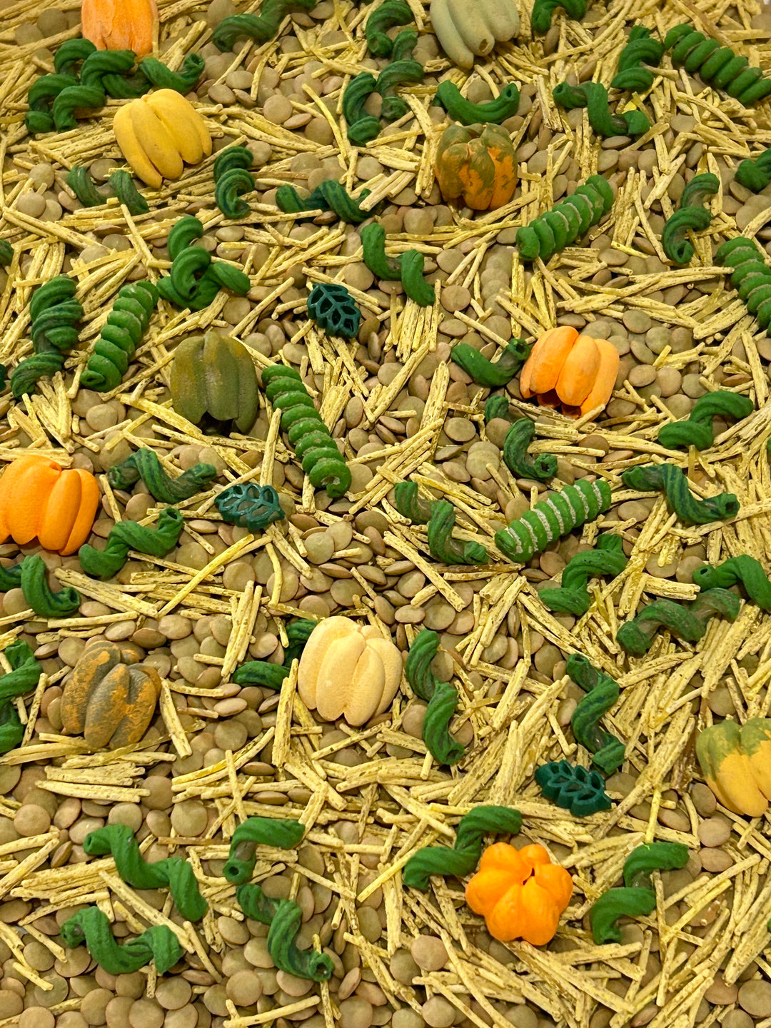 The Little Pumpkin Patch Sensory Filler | Fall Sensory Bin Mix
