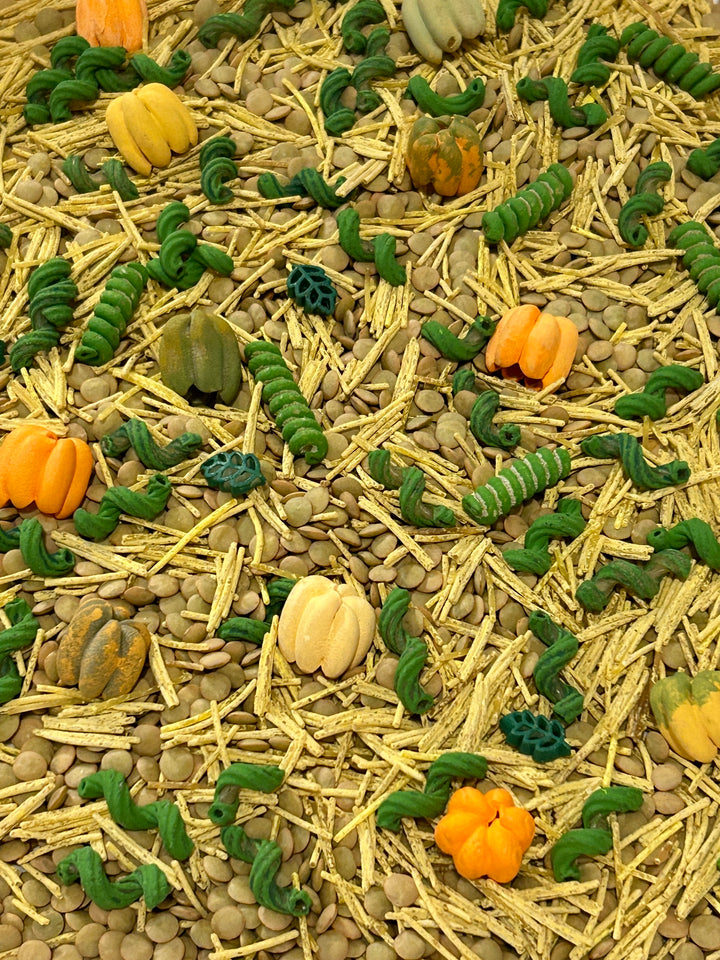 The Little Pumpkin Patch Sensory Filler | Fall Sensory Bin Mix