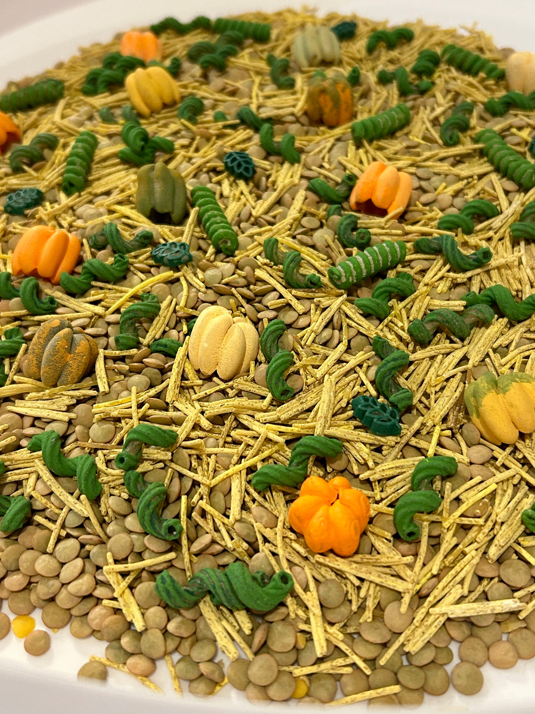 Pumpkin Patch Harvest Sensory Filler | Fall Sensory Bin Mix | Handpainted Pasta