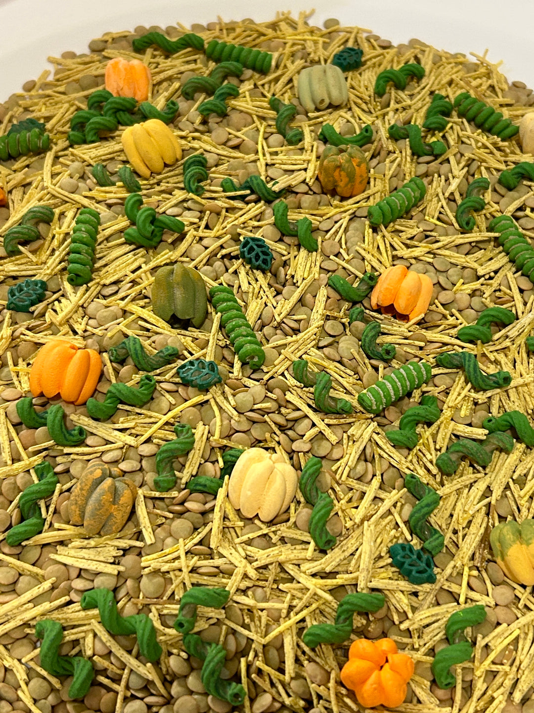 Pumpkin Patch Harvest Sensory Filler | Fall Sensory Bin Mix | Handpainted Pasta