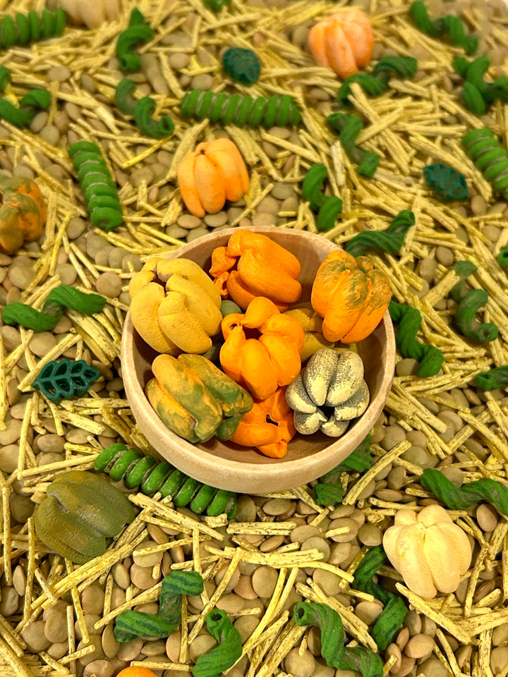 Pumpkin Patch Harvest Sensory Filler | Fall Sensory Bin Mix | Handpainted Pasta