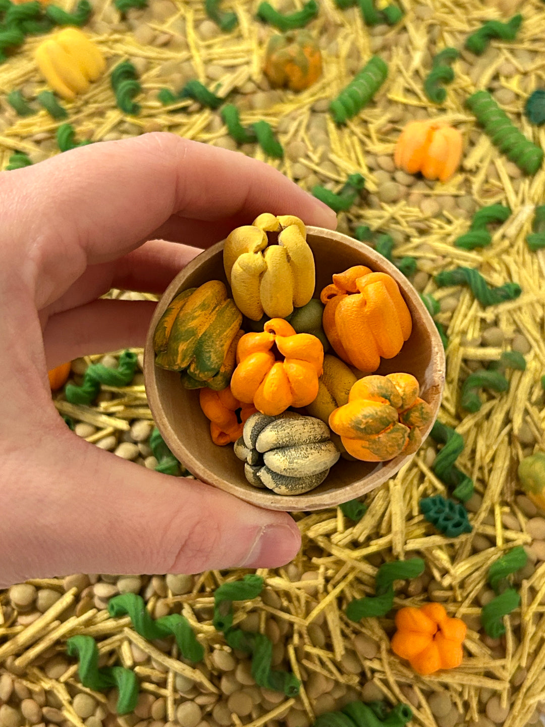 Pumpkin Patch Harvest Sensory Filler | Fall Sensory Bin Mix | Handpainted Pasta