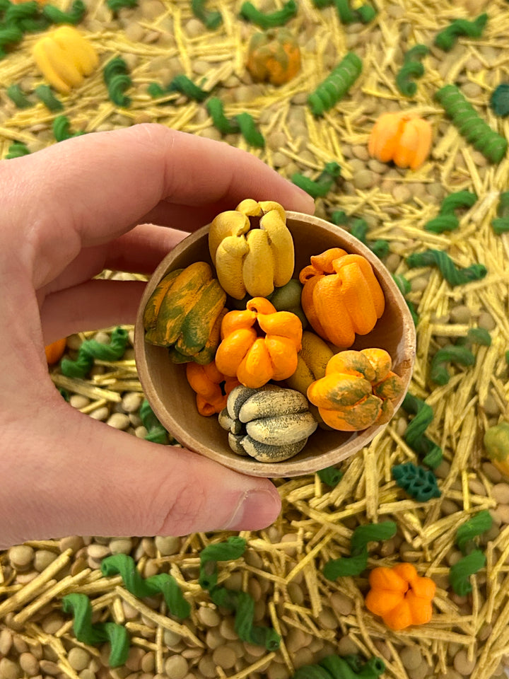 Pumpkin Patch Harvest Sensory Filler | Fall Sensory Bin Mix | Handpainted Pasta