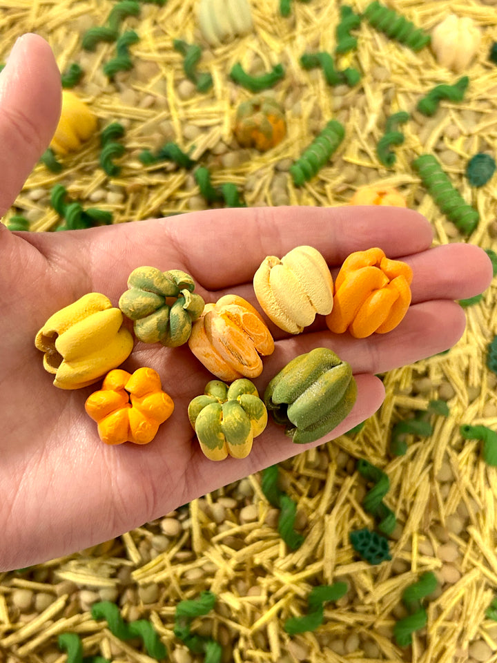 Pumpkin Patch Harvest Sensory Filler | Fall Sensory Bin Mix | Handpainted Pasta