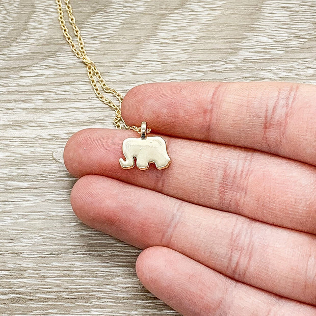 Inner Strength Necklace with Card, Lucky Elephant Pendant, Good Fortune Gift, Spirit Animal, Spiritual Jewelry, Gift for Friend, Birthday