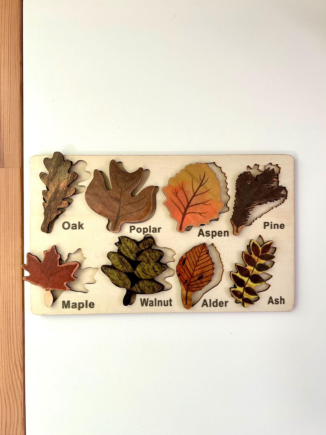 Wooden Leaf Puzzles | Fall Harvest Ressources | Montessori Nature Toy | Educational Toddler Activity | Fine Motor Skills | Preschool Tools