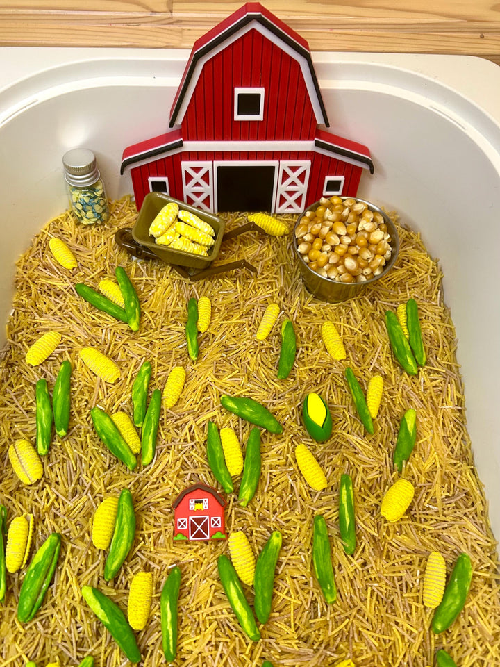Tractor Sensory Filler Mix | Corn Maze Sensory Bin Filler | Hay Painted Pasta Sensory Play | Farm Loose Parts | Montessori Fall Themed Play