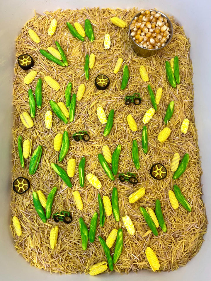 Corn Maze Sensory Bin Filler | Farm Sensory Filler Mix | Hay Pasta Corn Sensory Play | Tractor Loose Parts | Montessori Fall Themed Activity