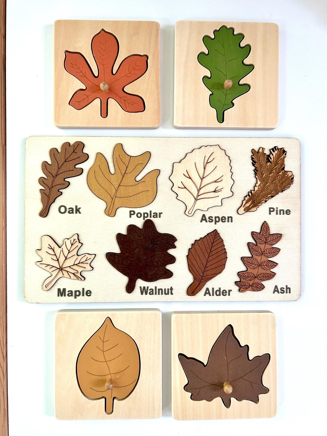 Woodland Leaf Identification Puzzle | Montessori Fine Motor Wooden Board | Handcrafted Wood Nature Toy | Fall Learning Gift for Kids