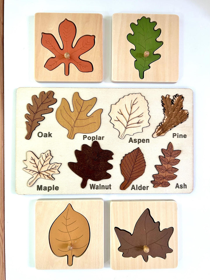 Woodland Leaf Identification Puzzle | Montessori Fine Motor Wooden Board | Handcrafted Wood Nature Toy | Fall Learning Gift for Kids