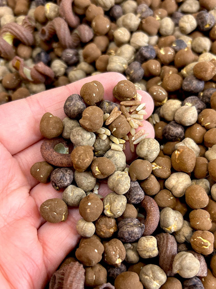 Chocolate Valentine Sensory Filler Mix | Chocolatey Sweet Treats Charms | Brown Tones Bin | Cocoa Inspired Loose Parts | Montessori Play