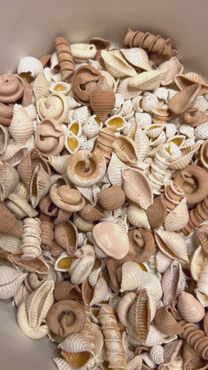 Handpainted Pasta Seashells | Beach Sensory Bin Loose Parts