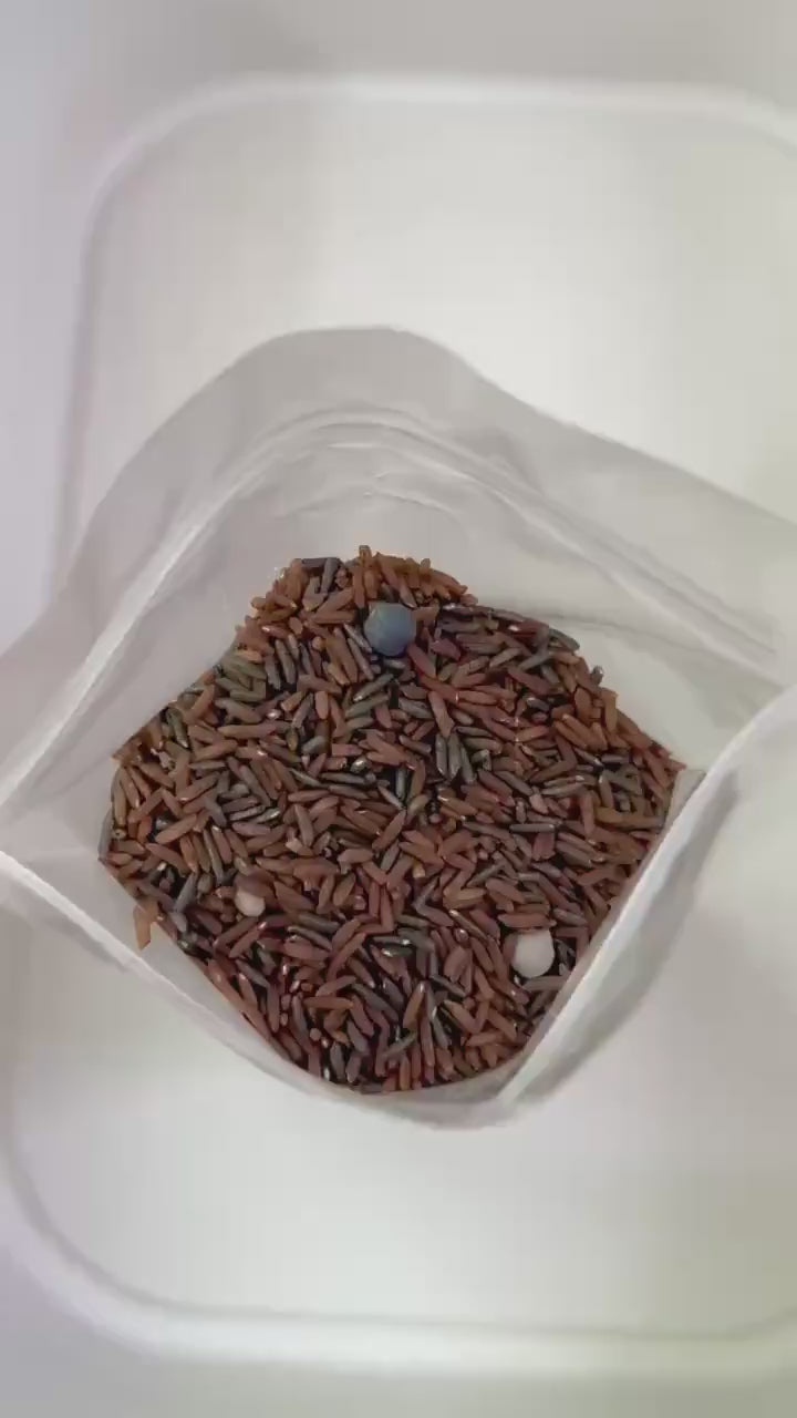 Fall Harvest Sensory Filler Mix | Vegetable Garden Theme | Rice, Chickpeas & Handpainted Pasta | Autumn Montessori Play Setup | Woodland Fun