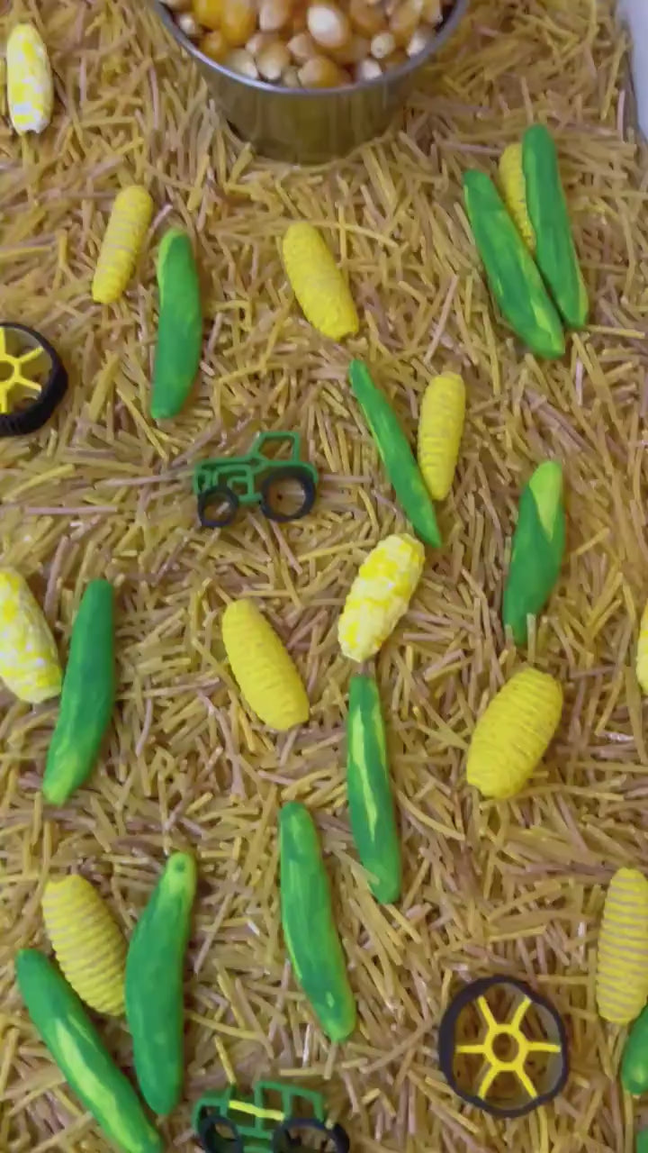 Tractor Sensory Filler Mix | Corn Maze Sensory Bin Filler | Hay Painted Pasta Sensory Play | Farm Loose Parts | Montessori Fall Themed Play