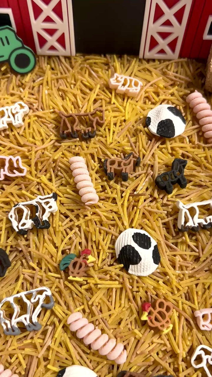 Farm Animals Sensory Filler | Barnyard Sensory Bin Mix | Hay Pasta | Handpainted Farm Animals
