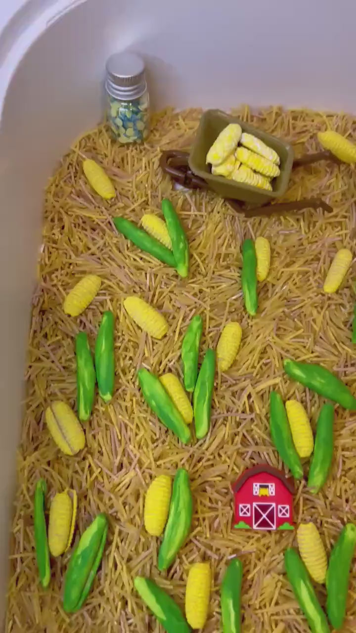 Corn Maze Sensory Bin Filler | Farm Sensory Filler Mix | Hay Pasta Corn Sensory Play | Tractor Loose Parts | Montessori Fall Themed Activity