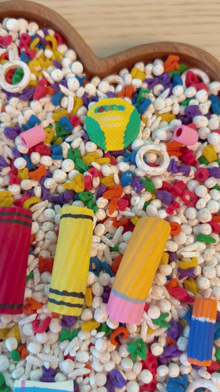 Little Learner’s Desk Sensory Filler Mix | Back to School Play Setup | Handpainted Pasta