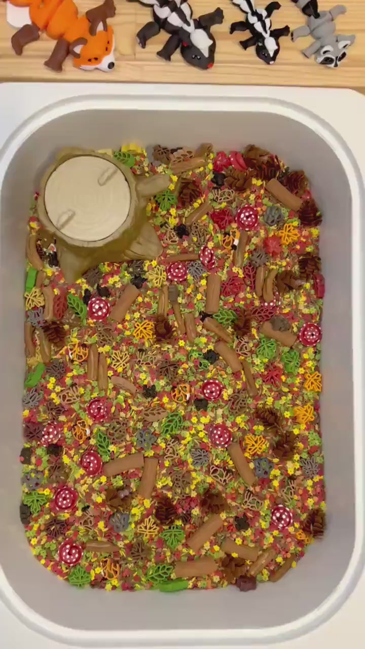 Into the Woods Sensory Filler | Woodland Wonders Mix | Nature Sensory Bin | Montessori Play Tray | Forest Small World Setup for Children