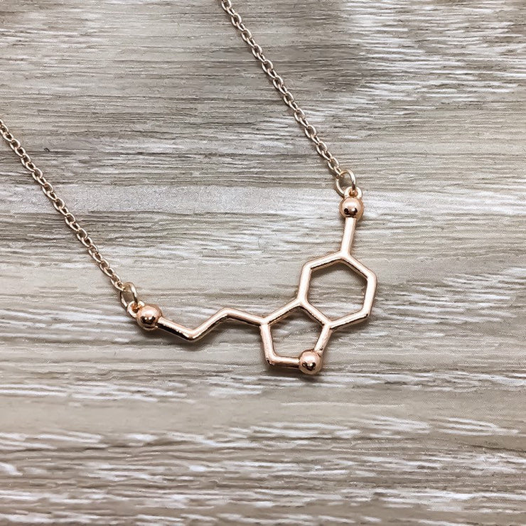 Dopamine Sterling Silver Necklace | AMNH Store