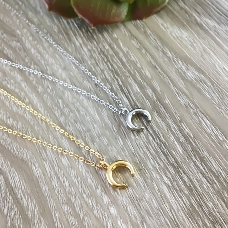 Double Horn Necklace, Moon Jewelry, Crescent Moon Necklace, Lunar Eclipse Pendant, Dainty Celestial Jewelry, Astronomy Gift, Tusk Necklace